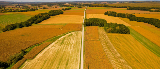 Catalunya compta amb 962.117 hectàrees de cultiu repartides en 40.775 explotacions agrícoles