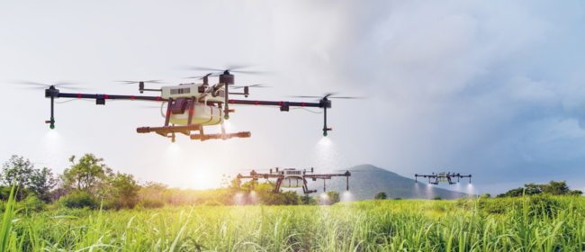 Prop de 1.000 milions d’euros en ajuts per afrontar els reptes del sector agroalimentari i forestal