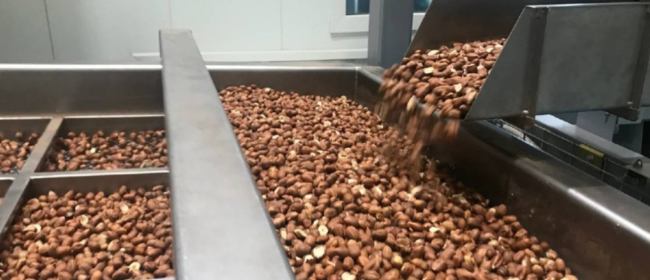 Es destinen 20 milions d'euros per impulsar la transformació i comercialització agroalimentària