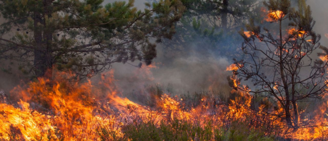 Activat el nivell de perill molt alt d’incendi: què cal tenir en compte?