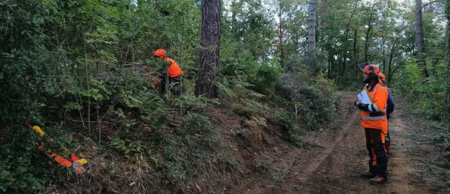 Les Escoles Agràries impulsen més de 400 formacions per capacitar 9.000 professionals del sector agropecuari, alimentari i forestal