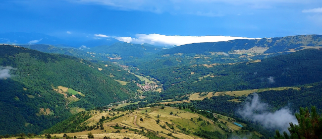 Oberta la convocatòria d'ajuts per impulsar paisatges agroforestals resilients a Catalunya