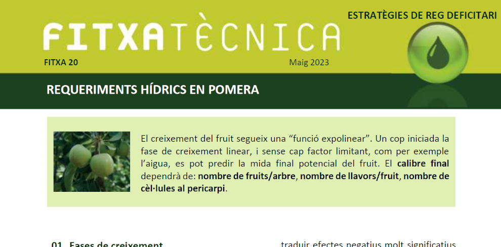 FT nº20: Requeriments hídrics en pomera