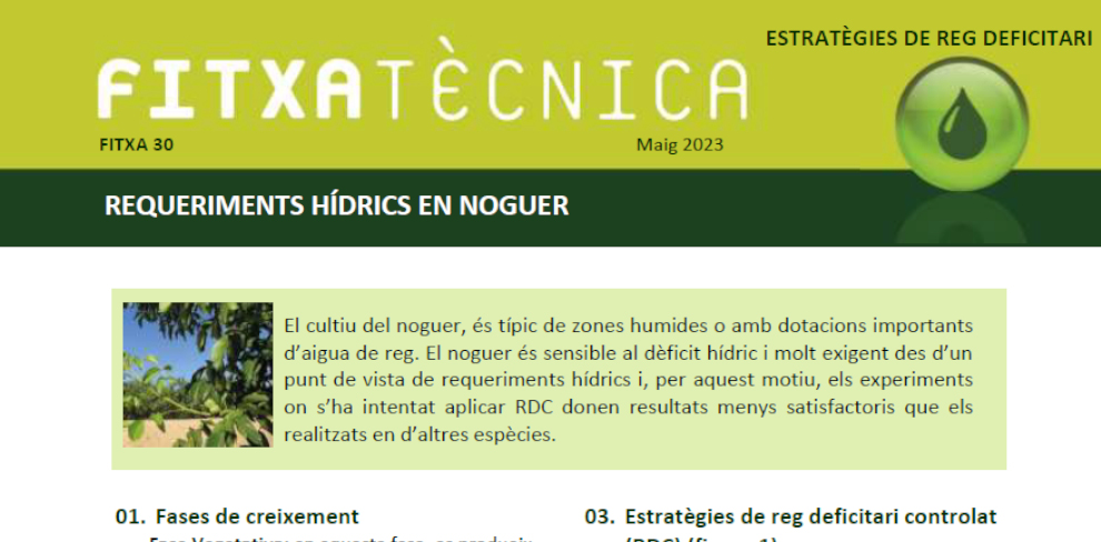 FT nº30: Requeriments hídrics en noguer