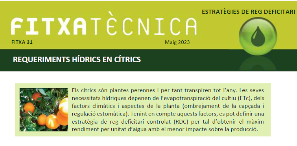 FT nº31: Requeriments hídrics en cítrics