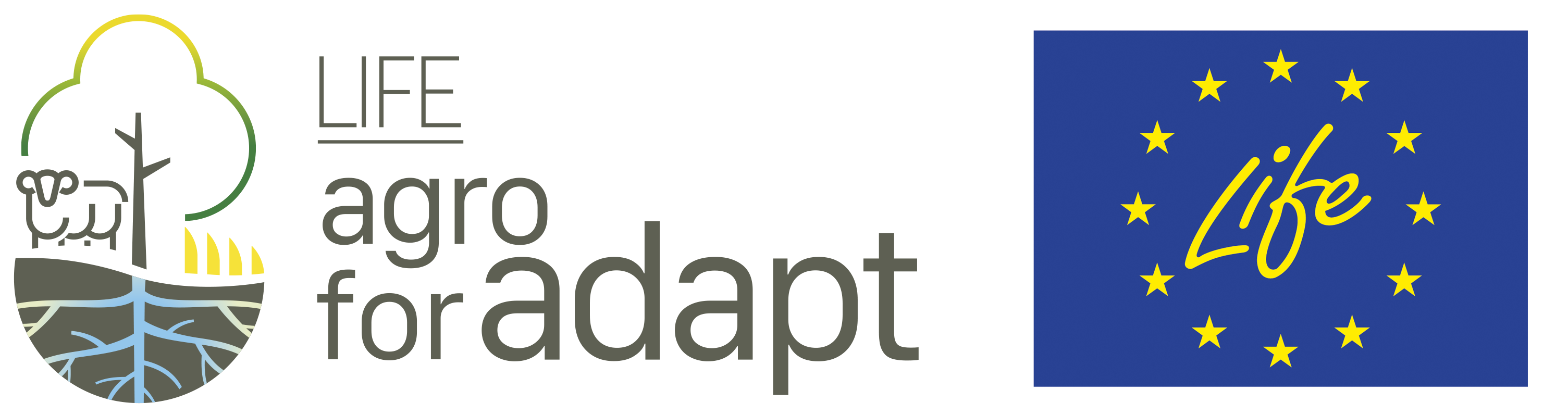 Logo agroforadapt