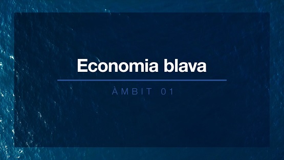 Ambit 01 economia marítima