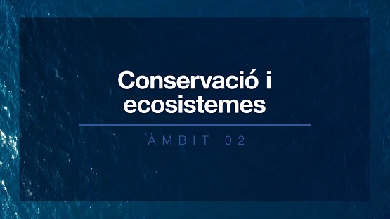 Àmbit 2 Conservació i ecosistemes