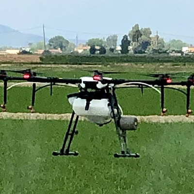 Dron