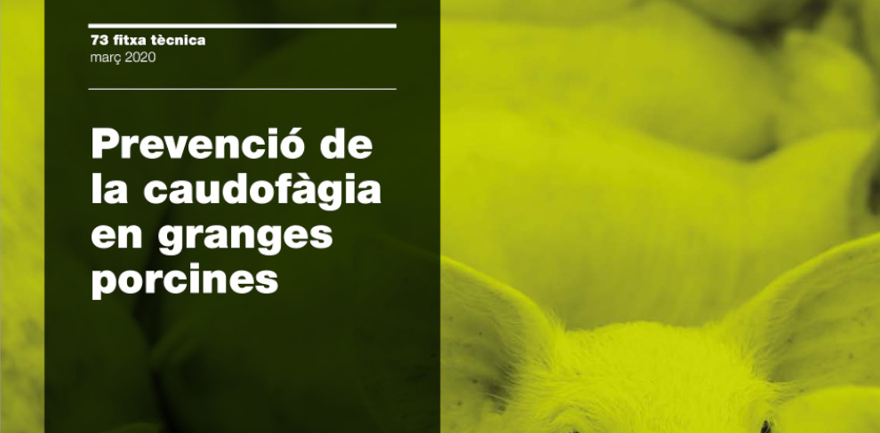 FT nº 73: Prevenció de la caudofàgia en granges porcines