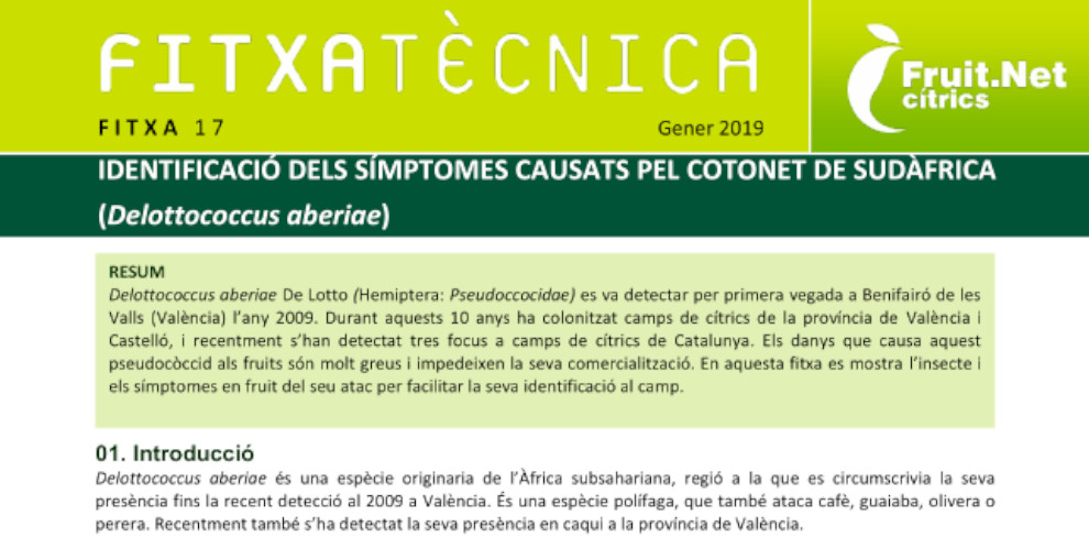 Fitxa tecnica num. 17