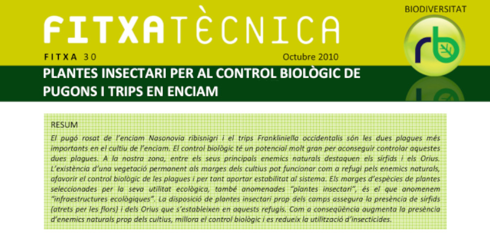 FT nº30: Plantes insectari per al control biològic de pugons i trips en enciam