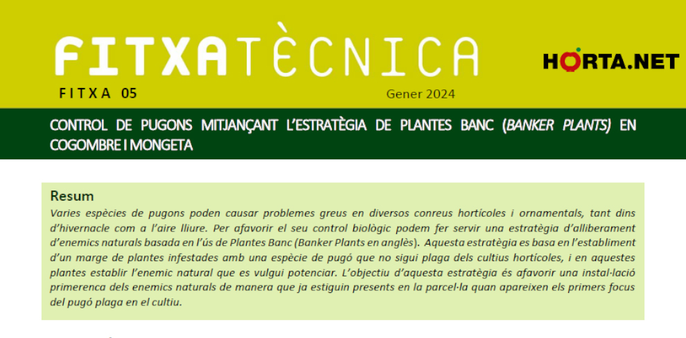 FT nº05: Control de pugons mitjançant l’estratègia de plantes banc (banker plants) en cogombre i mongeta