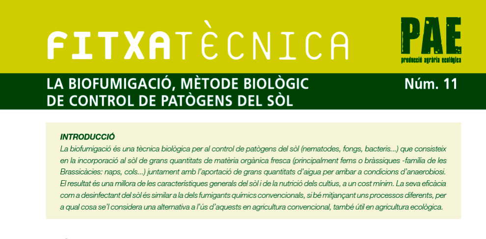 FT nº11: Biofumigació, mètode biològic de control de patògens al sòl