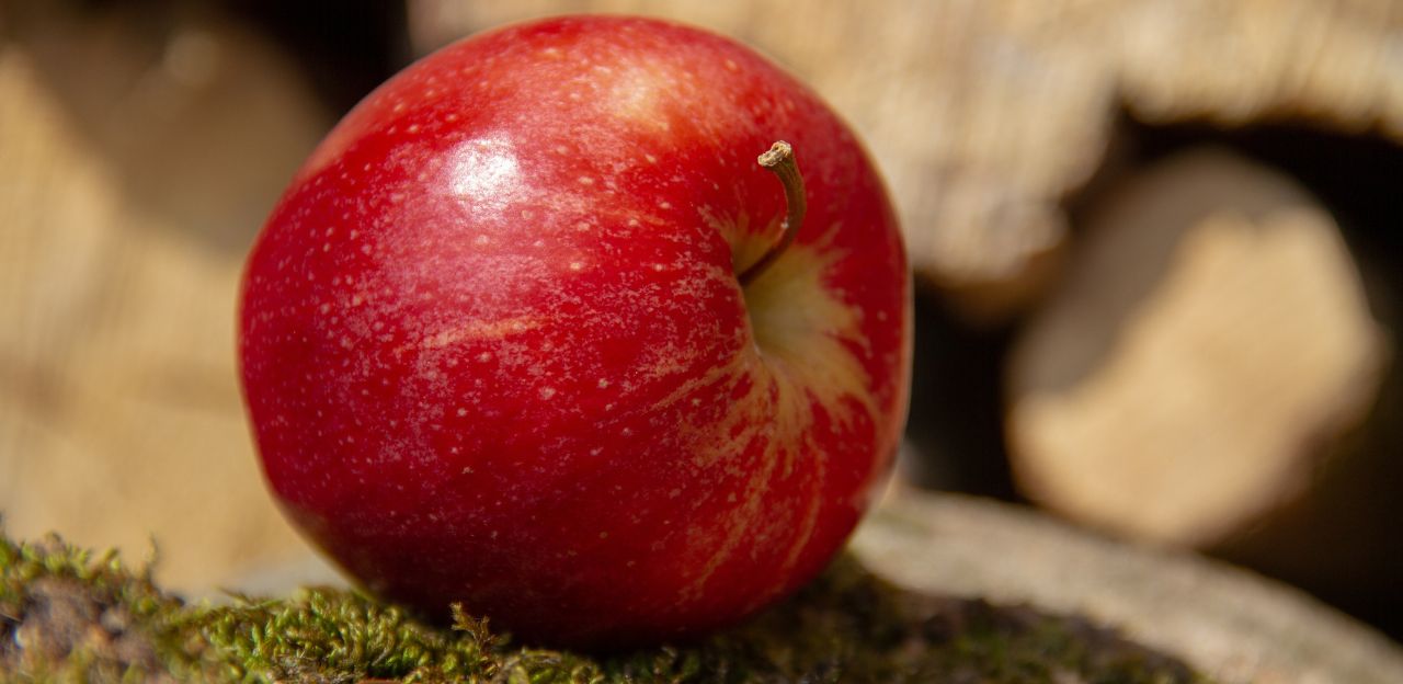 La previsió de collita de poma a Catalunya per al 2022 és de 229.400 tones i la de pera de 101.060 tones