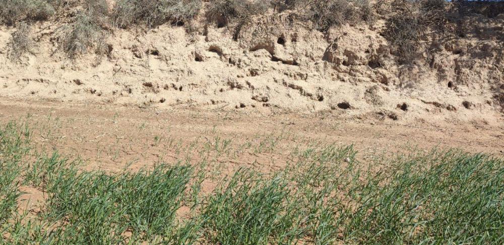 La primera línia dels ajuts subvenciona el 80% de l’adquisició i instal·lació de mecanismes de protecció individual.