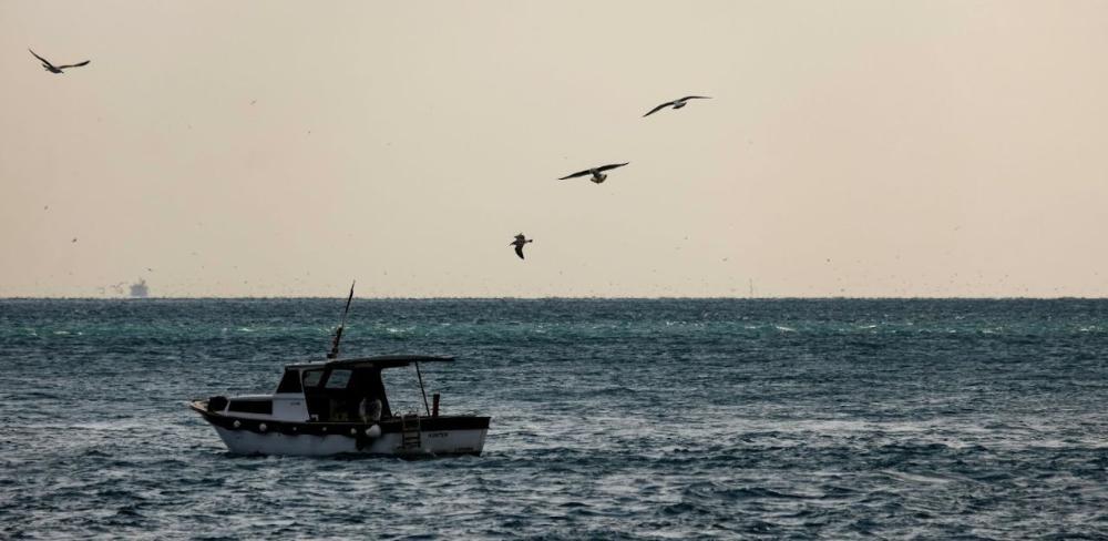 Els ajuts es poden sol·licitar fins el dia 12 de febrer de 2026