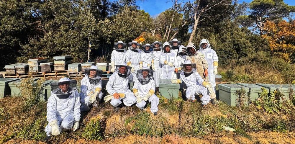 L'espai es dedica a la producció de reines amb aproximadament 300 ruscs