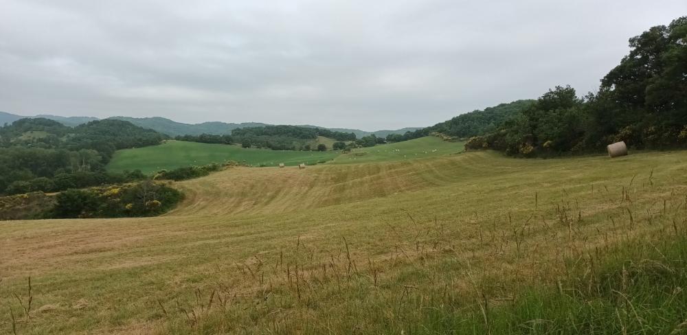 La nova estratègia de bioeconomia de la UE hauria d’impulsar la gestió sostenible del territori i la revitalització del món rural