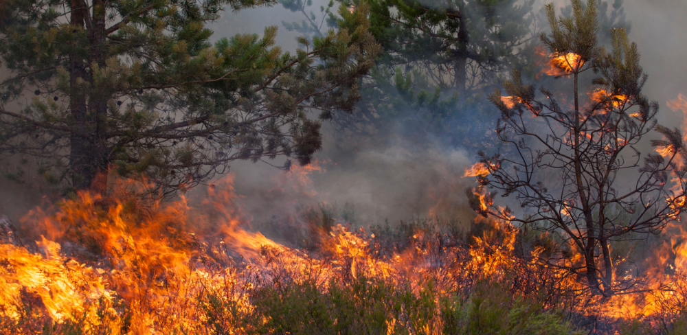Les activitats considerades de risc inclouen, entre d’altres, cremes de restes vegetals, barbacoes, fogueres o activitats pirotècniques