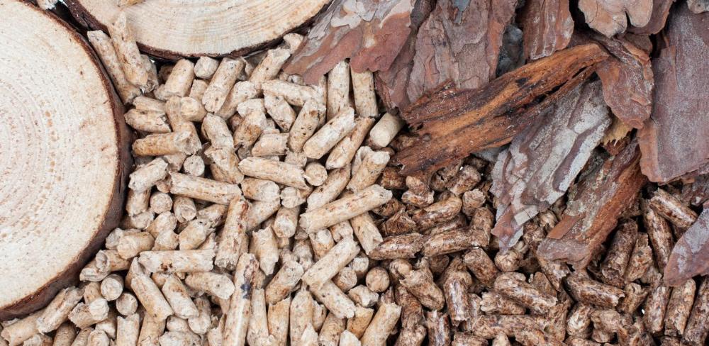 Al llarg de la jornada es va posar de manifest el paper creixent de la biomassa forestal en la substitució de materials d’origen fòssil