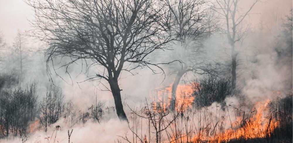 Cada estiu, 9 de cada 10 dels incendis tenen origen humà. Evitar-los és responsabilitat de tothom