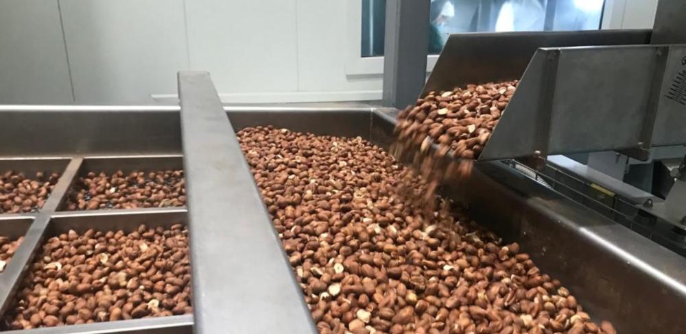 El Servei de Control Oficial de la Qualitat Agroalimentària va dur a terme 908 inspeccions en 152 empreses durant l’any, retirant del mercat productes que no complien la normativa i prevenint fraus en tota la cadena alimentària