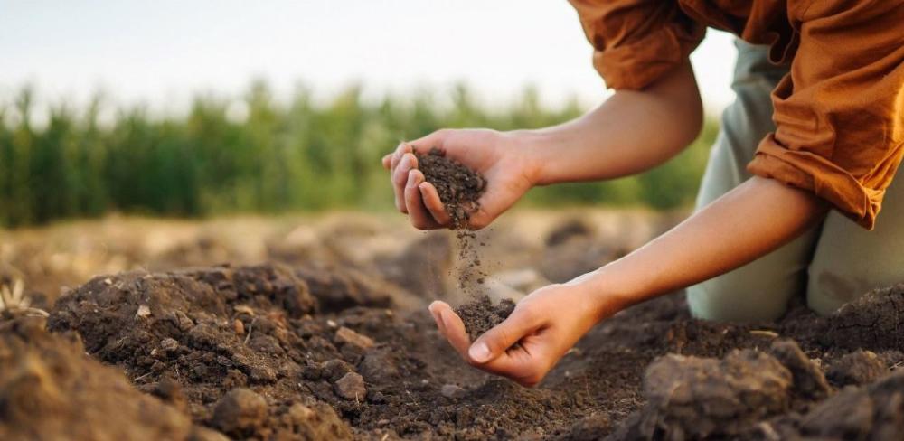 El 5 de desembre se celebra el Dia Mundial del Sòl, una proposta impulsada per la FAO