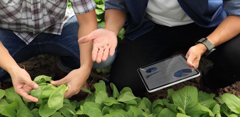 Les inscripcions estan obertes fins el 10 de gener de 2026.