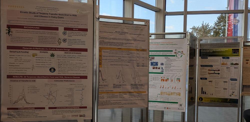 Presentació dels pòsters de tots els projectes