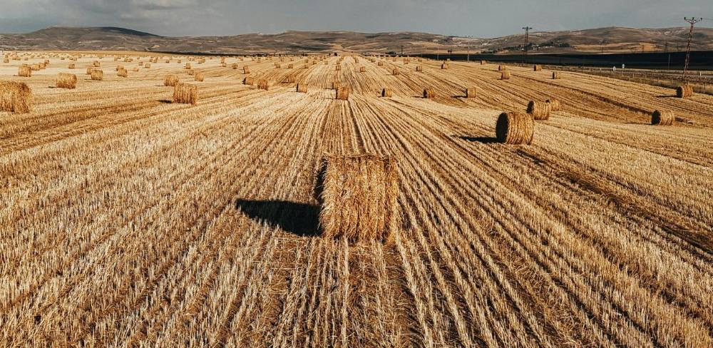 Les dades provenen de la Declaració Agrària Única (DUN)