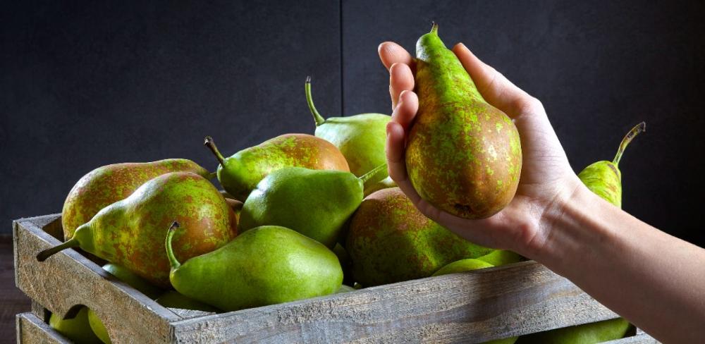 Fruita dolça és com s’anomena un seguit de fruites carnoses, sucoses i amb un gust dolç que es caracteritzen per ser riques en aigua, vitamines, fibra i sucres naturals