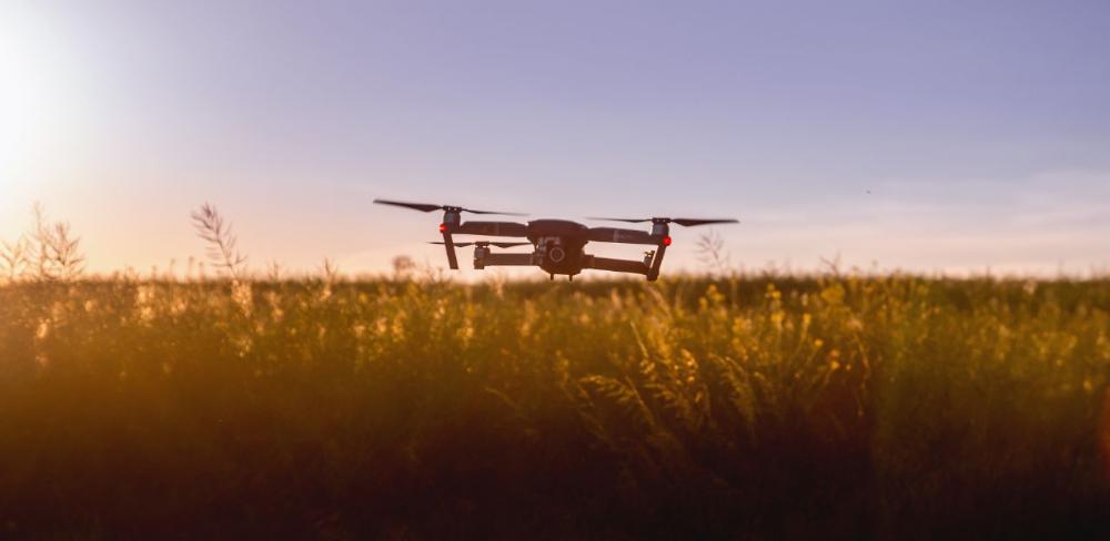 L’ús de drons (UAVs) i l’anàlisi d’imatges, permet monitoritzar l’estat dels prats, estimar-ne la producció i analitzar el comportament del bestiar