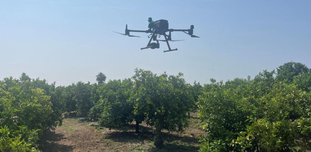 Un dron del projecte de recerca europeu captant imatges aèries d'un camp agrícola.
