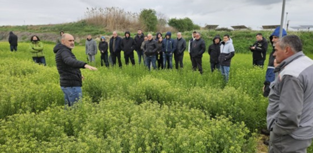 Una jornada tècnica celebrada a l’EA Tàrrega reuneix professionals per analitzar el potencial agronòmic i comercial del cultiu de camelina en sistemes de secà i regadiu