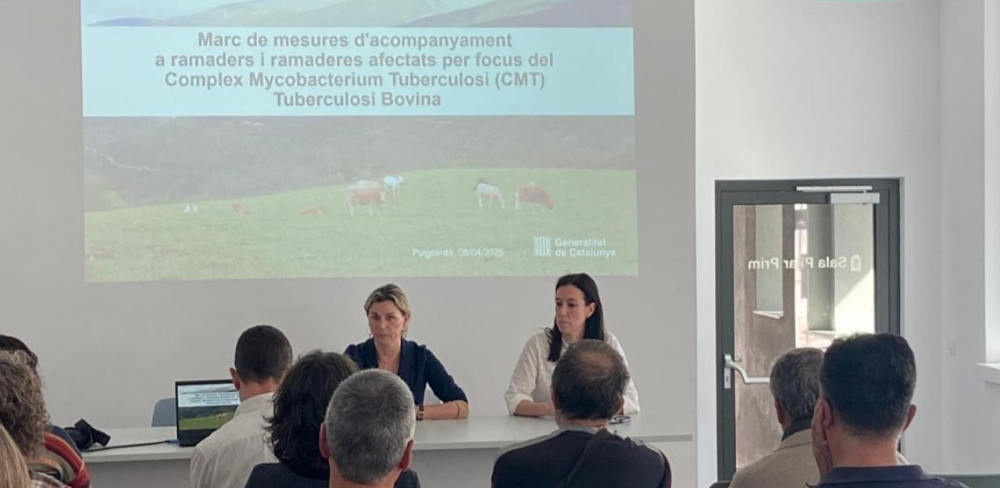 La secretària d'Alimentació, Rosa Cubel, i la directora d'Agricultura i Ramaderia, Rosa Altisent, presentant les mesures