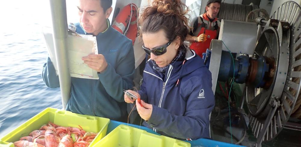 Les dues accions han estat dutes a terme en col·laboració amb l’ICATMAR.
			
			
				Les dues accions han estat dutes a terme en col·laboració amb l’ICATMAR.